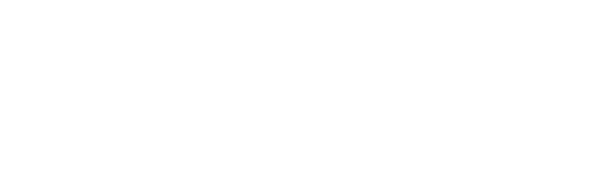 Solvo · Bringing You a World of Talent